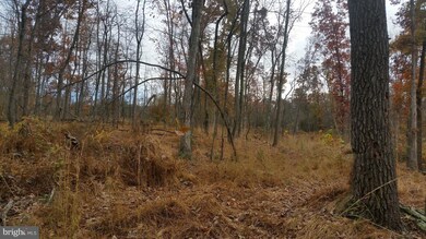 180 Spring Hollow Ln, Great Cacapon, WV 25422 - photo 6