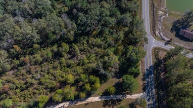 00 State Route 188, Cairo, GA 39827 - photo 7