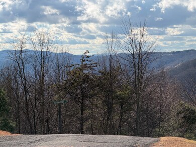 TBD Autumn Point Trail, Fancy Gap, VA 24328 - photo 6