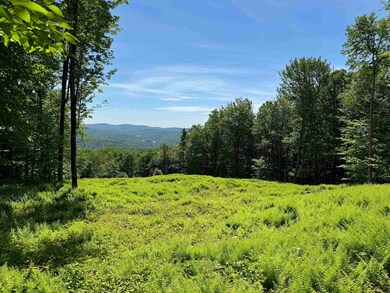 0 Spruce Grove Rd unit 5035135, Wilmington, VT 05363 - photo 6