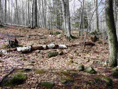 115 Rattlesnake Island, Alton, NH 03810 - photo 5