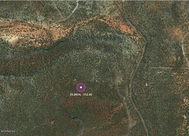 000 S of Rattlesnake Rd, Ash Fork, AZ 86320 - photo 2