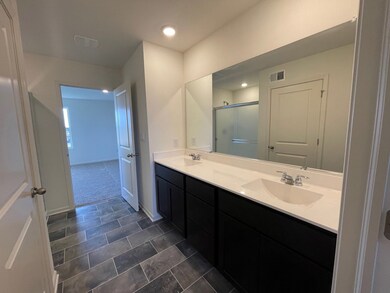 501 Monte Carlo Way, Joliet, IL 60436 - photo 7