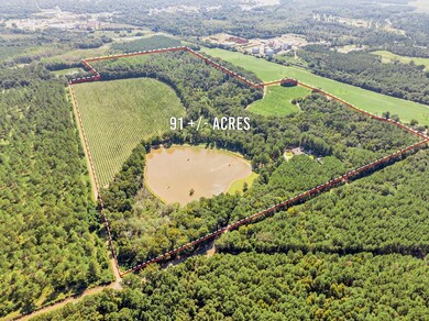 336 Metts Rd, Dawson, GA 39842 - photo 2