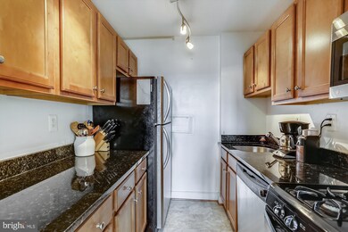 Mica Condominiums unit 115, Silver Spring, MD 20910 - photo 5