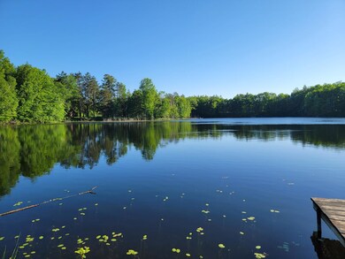 W10226 Cth J, Deerbrook, WI 54424 - photo 2