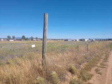 00- N Patricia Rd, Paulden, AZ 86334 - photo 3
