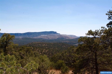 5 Buffalo Bill Rd, Hanover, NM 88041 - photo 5