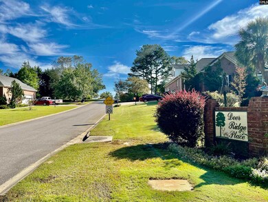 127 Deer Ridge Trail, Gilbert, SC 29054 - photo 7