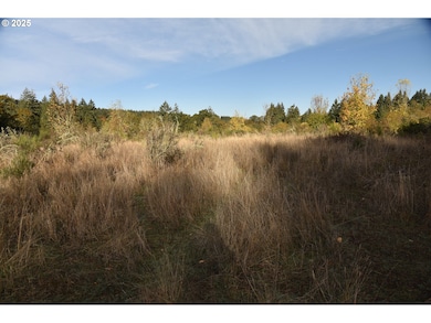 00 Mill Creek, Sheridan, OR 97378 - photo 3