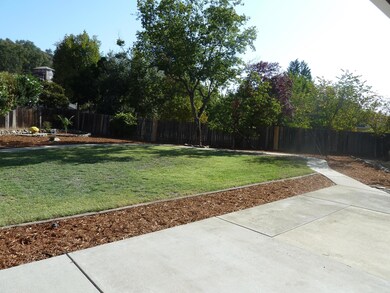 Beautiful Backyard!