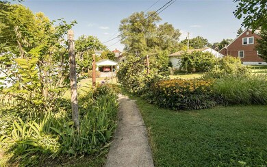 Mature grape vines