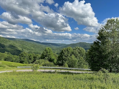 567 Headwaters Rd, Slatyfork, WV 26291 - photo 4