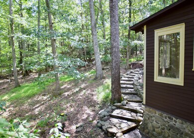 2156 Laurel Ln, Buck Hill Falls, PA 18323 - photo 4