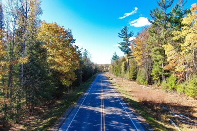 0 Hubbard Lake Rd unit 25571195, Hubbard Lake, MI 49747 - photo 5