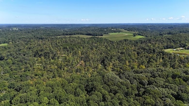 96+/- Acres Emmons Ridge Rd, Shoals, IN 47581 - photo 5