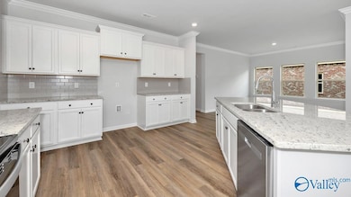 8510 Sophia Nicolle Ct, Gurley, AL 35748 - photo 5