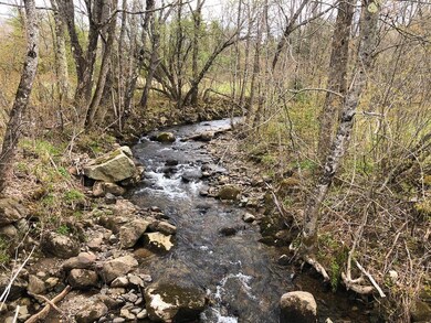 0 Mc Gary Hill Rd, Lancaster, NH 03584 - photo 6