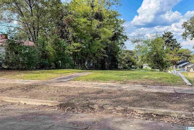 4304 51st Ave N unit 5, Birmingham, AL 35217 - photo 3