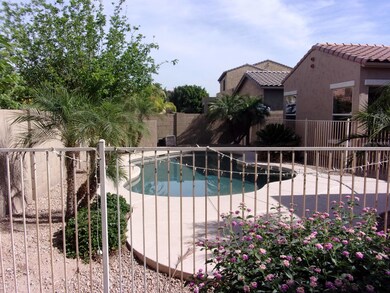 Fenced Pool