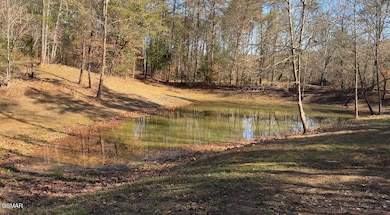 00 Thorngrove Pike, Kodak, TN 37764 - photo 5