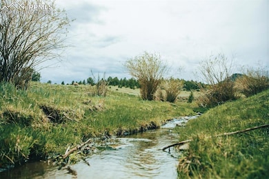 TBD Highway 9, Guffey, CO 80820 - photo 5