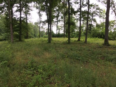 4182 Mildred Rd, Tyner, KY 40486 - photo 5