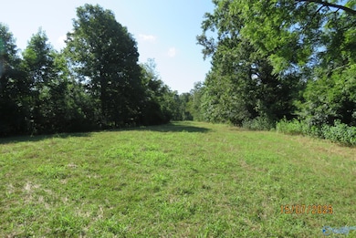 304A Riverview Dr, Grant, AL 35747 - photo 6