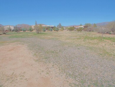 3- Flat usable lot