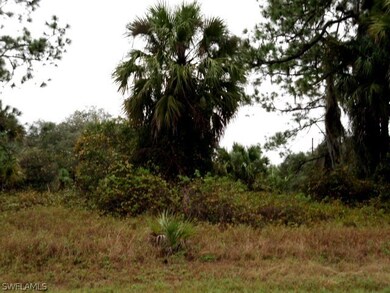 0 W Leader Ct unit 216005720, Labelle, FL 33935 - photo 4