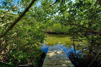 Your own dock for fishing, or launching your kayak, paddleboard, or canoe...or just taking in the serenity of nature.