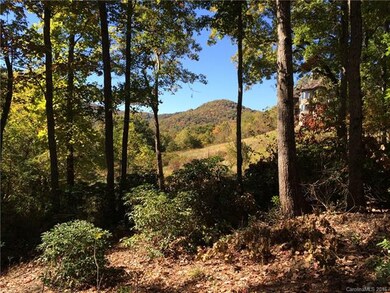16 Smokey Ridge Trail unit LOT 172, Arden, NC 28704 - photo 3