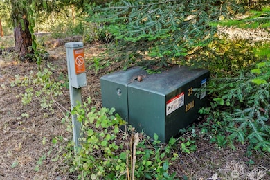 137 Eloah Way, Centralia, WA 98531 - photo 6