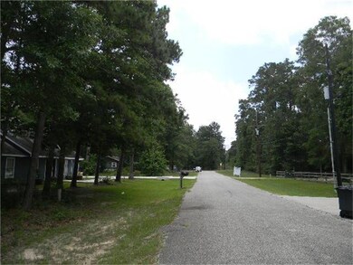 0 Woods Ln, Cleveland, TX 77328 - photo 4