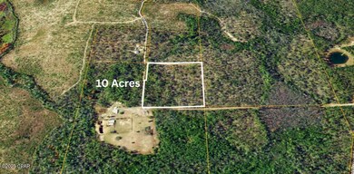 0 Stallion Ln, Marianna, FL 32448 - photo 7