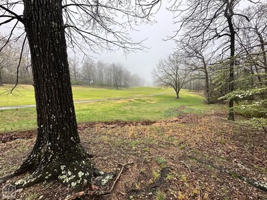 0 Oho Dr, Cherokee Village, AR 72529 - photo 4