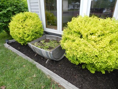 Front Landscaping