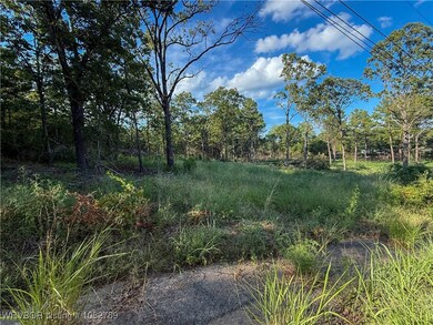 TBD Tract #1 Coggins Ave, Poteau, OK 74953 - photo 5