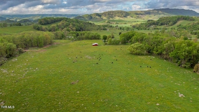 59-web-or-mls-9117-mountain-rd