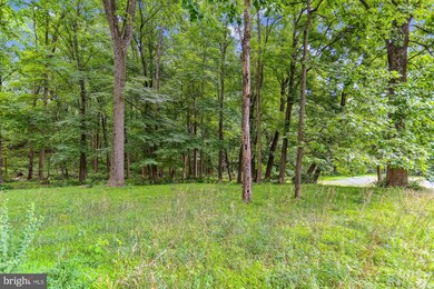 16401 Oak Hill Rd, Silver Spring, MD 20905 - photo 6