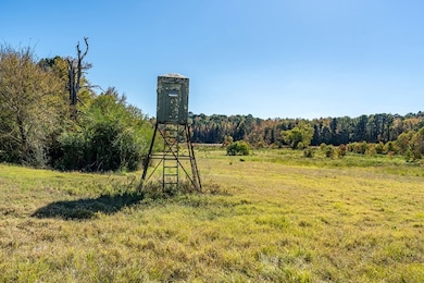 380 An County Road 370, Palestine, TX 75801 - photo 6