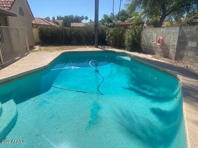 1249 E Laurel Ave, Gilbert, AZ 85234 - photo 5