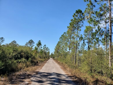 0 SW Prine Rd unit 20907097, Lee, FL 32059 - photo 2