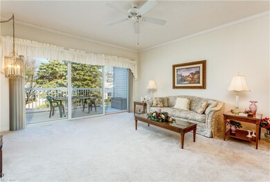 The living room area features a wall of glass and 