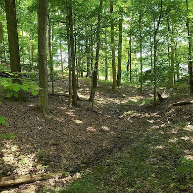 0 Mulberry Rd, Mount Perry, OH 43760 - photo 6