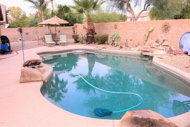 Backyard2a