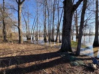 11720 Hideaway Rd, Mer Rouge, LA 71261 - photo 3