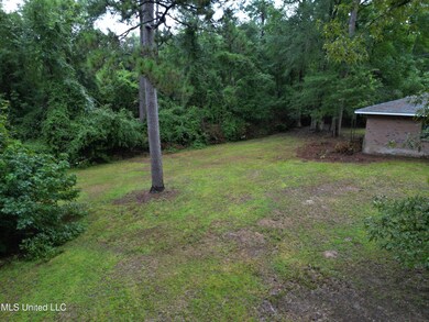 961 Ceasar Rd, Picayune, MS 39466 - photo 4