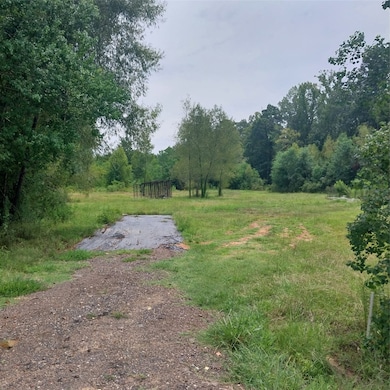 View of yard with a view of trees