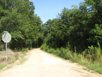 00 Old Savannah Road & Us 280, Ailey, GA 30410 - photo 2